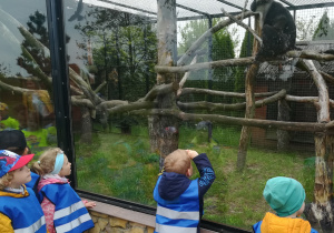 Dzieci zwiedzają zoo